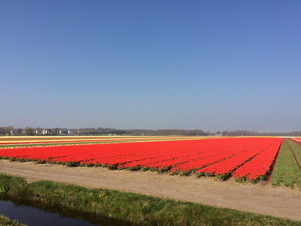 Bed & Breakfast De Vier Seizoenen Lisse Exteriör bild